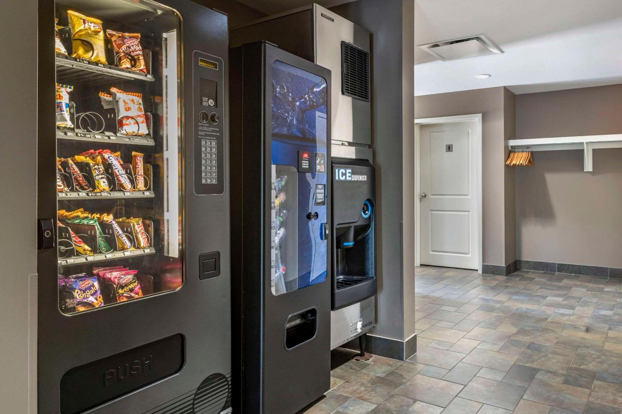 Quality Inn & Suites Quispamsis Rothesay Extérieur photo
